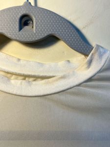 White Sheer/ Mesh Long Sleeve Top