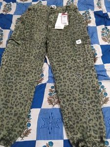 Animal Print Cargo Pants