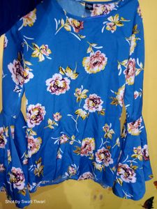 Blue Bell Sleeves Top
