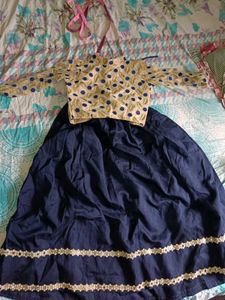 Embroidered Crop Top & Skirt Set