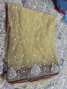 Elegant Embellished Indian Saree