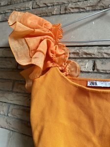 Zara Organza Sleeves Crop Top