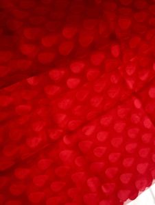 Red Net Saree