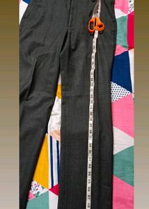 Raymond&#39;s Casual Pant (Men)