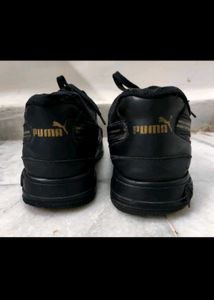 combo shirt and Shoe