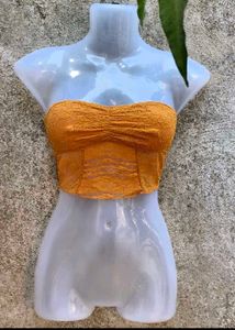 LAVANYA_GUPTA5696