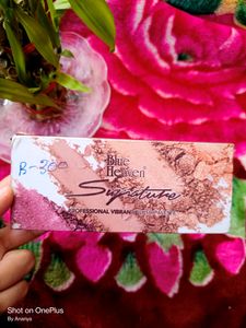 Blue HeavenSignaturePROFESSIONAL VIBRANT BLUSHER