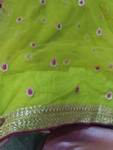 Beautiful Net Saree