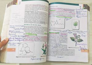 Biology Textbook for Class XII