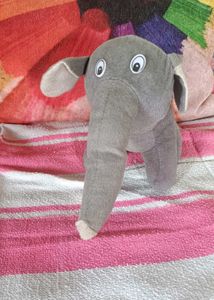 Grey Colour 🐘 Elephant