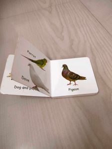 Domestic Animals Book