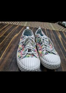 Nike  And  Skechers Shoes Original