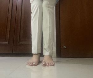 Formal Office Branded Trousers