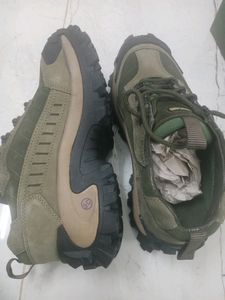 Wood Land Brand New Shoes