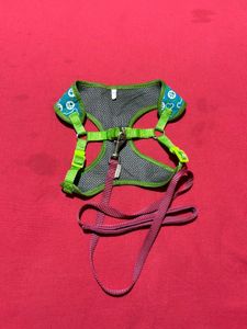 Dog Harness with Leash