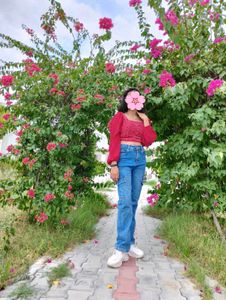 Full Sleeves Crop Top