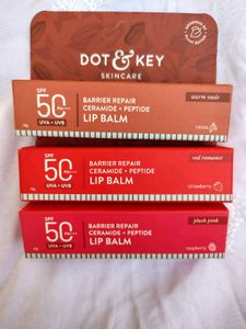 Dot &amp; Key Barrier Repair Tinted Lip Balm