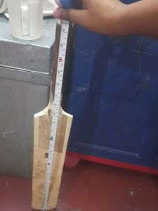 cricket bat