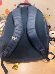 wildcraft backpack