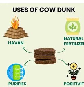 10 Peace Cow Uple