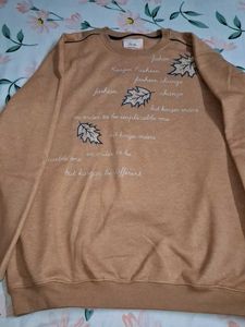 Stylish Tan Pullover Sweater