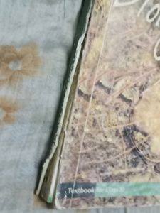 Biology class 11 NCERT