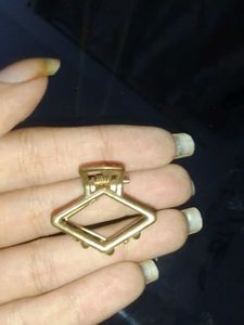 2 earings with a free mini golden clip