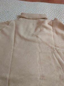 Stylish Turtleneck Sweater