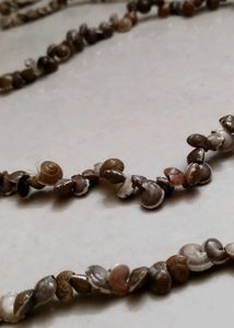 Seashell Necklace
