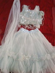 Cute Lehenga Choli Set