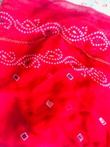 Floral Lehenga Choli Set