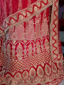 Diwali Offer 💥 Dupatta