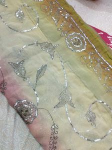 Embroidered multi colored saree