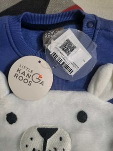 Cute Bear Kids Outfit