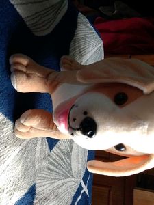 Dog Plush Toy