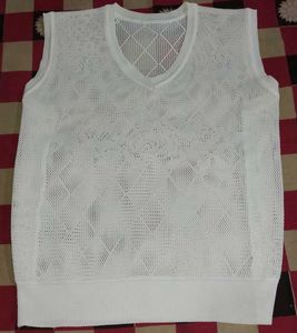 White V-Neck Knit Net Top