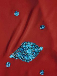 Red Embellished Saree