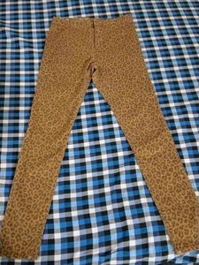 Animal Print Pants