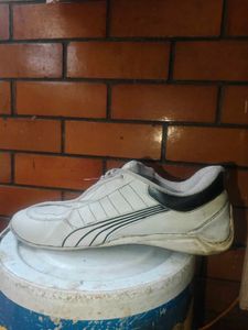 puma ferrari sf future cat shoes