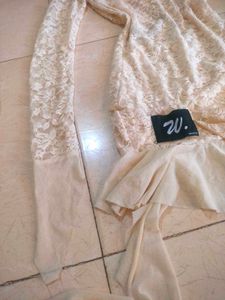 Lace Bodycon Mini Dress🩰🐮🦪🐚🦢