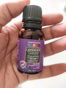 Lavender Essential Oil