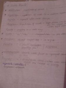 english all in one (12th)