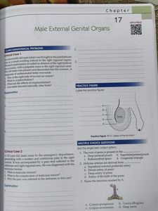 Human Anatomy Vol. 2 with free workbook