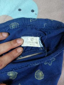 Shells Panty