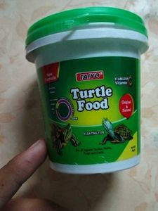 Turtle Food New