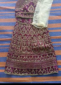 Elegant Lehenga Choli Set