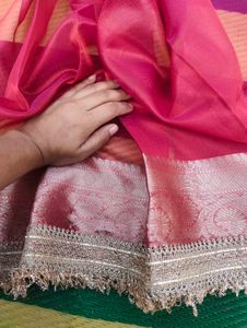 women banarasi tissue Saree(new saree)