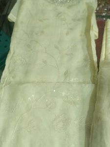 Elegant Embellished Salwar Kameez