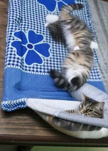 Vintage Gingham Quilt