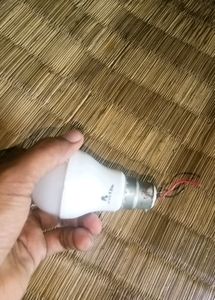 12 Watt Dc Blub